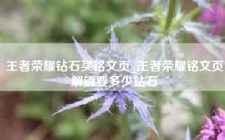 王者荣耀钻石买铭文页_王者荣耀铭文页解锁要多少钻石