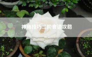 神角技巧二阶食谱攻略