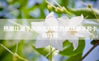 热血江湖手游拍卖攻略,热血江湖手游卡级攻略