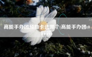 高能手办团预抽卡选哪个(高能手办团t0阵容)