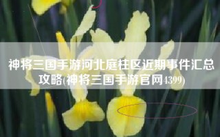 神将三国手游河北庭柱区近期事件汇总攻略(神将三国手游官网4399)