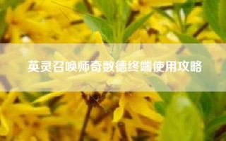 英灵召唤师奇数德终端使用攻略