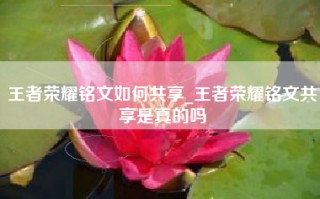 王者荣耀铭文如何共享_王者荣耀铭文共享是真的吗
