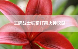 王牌战士铁骑打赢火神攻略