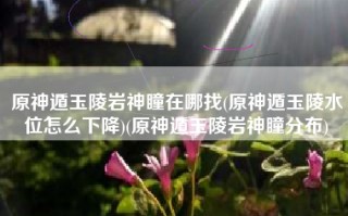 原神遁玉陵岩神瞳在哪找(原神遁玉陵水位怎么下降)(原神遁玉陵岩神瞳分布)