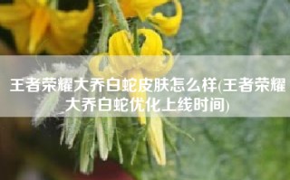王者荣耀大乔白蛇皮肤怎么样(王者荣耀大乔白蛇优化上线时间)