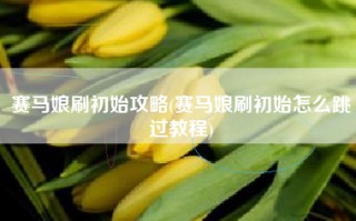 赛马娘刷初始攻略(赛马娘刷初始怎么跳过教程)