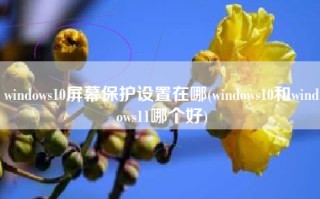 windows10屏幕保护设置在哪(windows10和windows11哪个好)