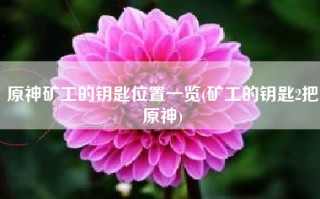 原神矿工的钥匙位置一览(矿工的钥匙2把原神)