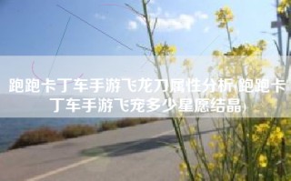 跑跑卡丁车手游飞龙刀属性分析(跑跑卡丁车手游飞宠多少星愿结晶)