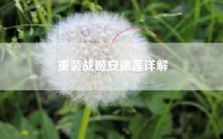 重装战姬安德莲详解