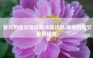 复苏的魔女鸾技能强度攻略(复苏的魔女脱解技能)