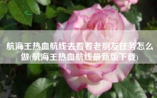 航海王热血航线去看看老朋友任务怎么做(航海王热血航线最新版下载)