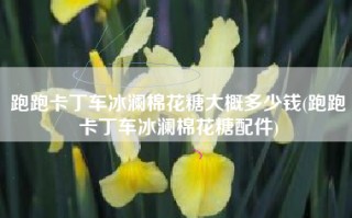 跑跑卡丁车冰澜棉花糖大概多少钱(跑跑卡丁车冰澜棉花糖配件)