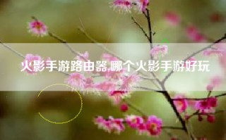火影手游路由器,哪个火影手游好玩