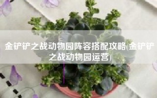 金铲铲之战动物园阵容搭配攻略(金铲铲之战动物园运营)