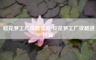 校花梦工厂攻略交流(校花梦工厂攻略进阶篇)