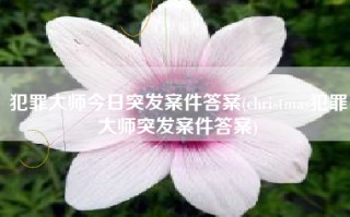 犯罪大师今日突发案件答案(christmas犯罪大师突发案件答案)
