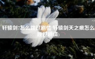 轩辕剑7怎么跳过剧情(轩辕剑天之痕怎么跳过剧情)