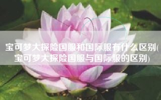 宝可梦大探险国服和国际服有什么区别(宝可梦大探险国服与国际服的区别)
