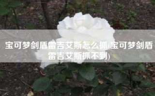 宝可梦剑盾雷吉艾斯怎么抓(宝可梦剑盾雷吉艾斯抓不到)