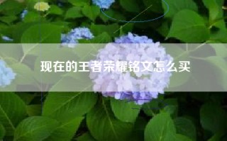 现在的王者荣耀铭文怎么买
