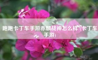 跑跑卡丁车手游赤麟战神怎么样 (卡丁车手游)