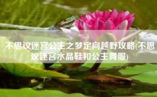 不思议迷宫公主之梦定向越野攻略(不思议迷宫水晶鞋和公主舞服)