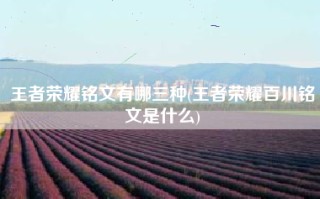 王者荣耀铭文有哪三种(王者荣耀百川铭文是什么)