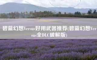 碧蓝幻想Versus好用武器推荐(碧蓝幻想Versus全DLC破解版)