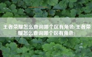 王者荣耀怎么查询哪个区有角色(王者荣耀怎么查询哪个区有角色)