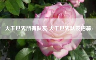大千世界所有队友(大千世界队友招募)
