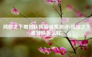 鸿图之下蜀智队阵容强度测评(鸿图之下蜀智队怎么样)