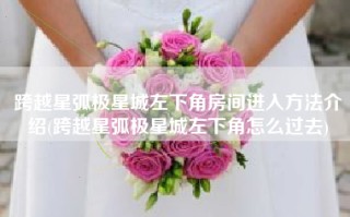 跨越星弧极星城左下角房间进入方法介绍(跨越星弧极星城左下角怎么过去)