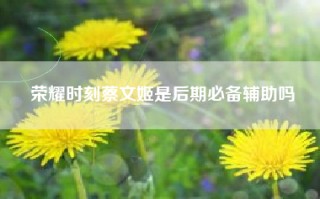 荣耀时刻蔡文姬是后期必备辅助吗