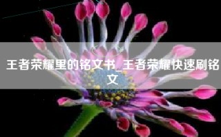 王者荣耀里的铭文书_王者荣耀快速刷铭文