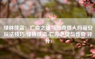 绿林侠盗：亡命之徒与传奇猎人玛丽安玩法技巧(绿林侠盗-亡命之徒与传奇 评分)