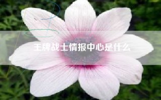 王牌战士情报中心是什么