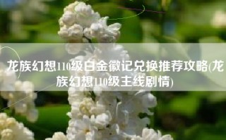 龙族幻想110级白金徽记兑换推荐攻略(龙族幻想110级主线剧情)