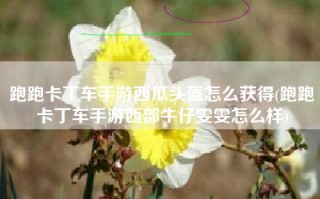 跑跑卡丁车手游西瓜头盔怎么获得(跑跑卡丁车手游西部牛仔雯雯怎么样)