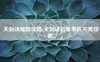 天剑诀宠物攻略(天剑诀初章单机完美攻略)