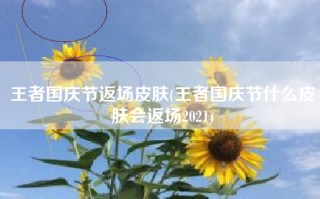 王者国庆节返场皮肤(王者国庆节什么皮肤会返场2021)