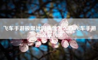 飞车手游极限计时头像怎么办,飞车手游怎么玩厉害