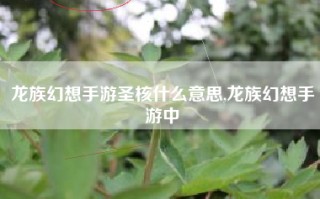 龙族幻想手游圣核什么意思,龙族幻想手游中