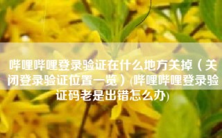 哔哩哔哩登录验证在什么地方关掉（关闭登录验证位置一览）(哔哩哔哩登录验证码老是出错怎么办)