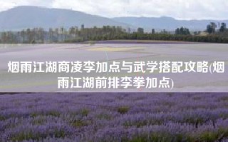 烟雨江湖商凌李加点与武学搭配攻略(烟雨江湖前排李拳加点)