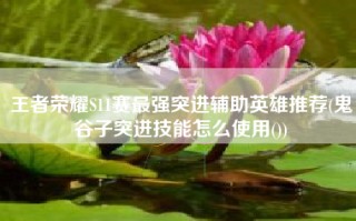 王者荣耀S11赛最强突进辅助英雄推荐(鬼谷子突进技能怎么使用())