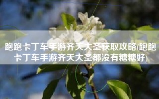 跑跑卡丁车手游齐天大圣获取攻略(跑跑卡丁车手游齐天大圣都没有糖糖好)