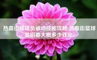 热血街篮球员被动技能攻略(热血街篮球员招募大概多少钱出)
