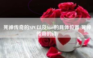 死神传奇的NPC以及boss的具体位置(死神传奇的诗)